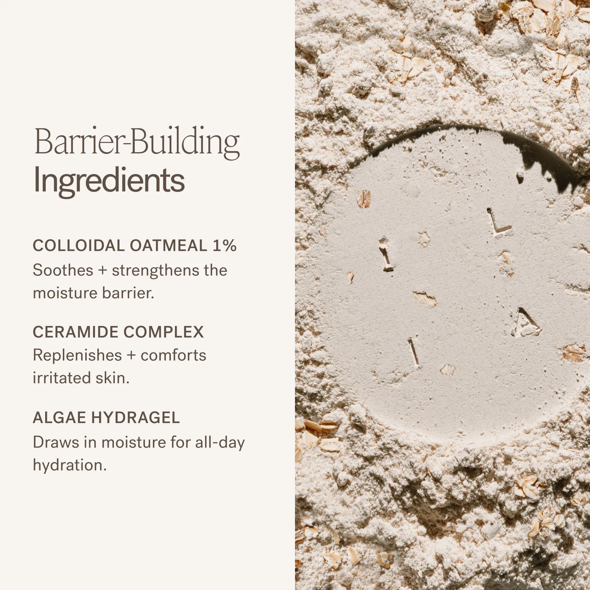 Barrier Build Skin Protectant Cream
