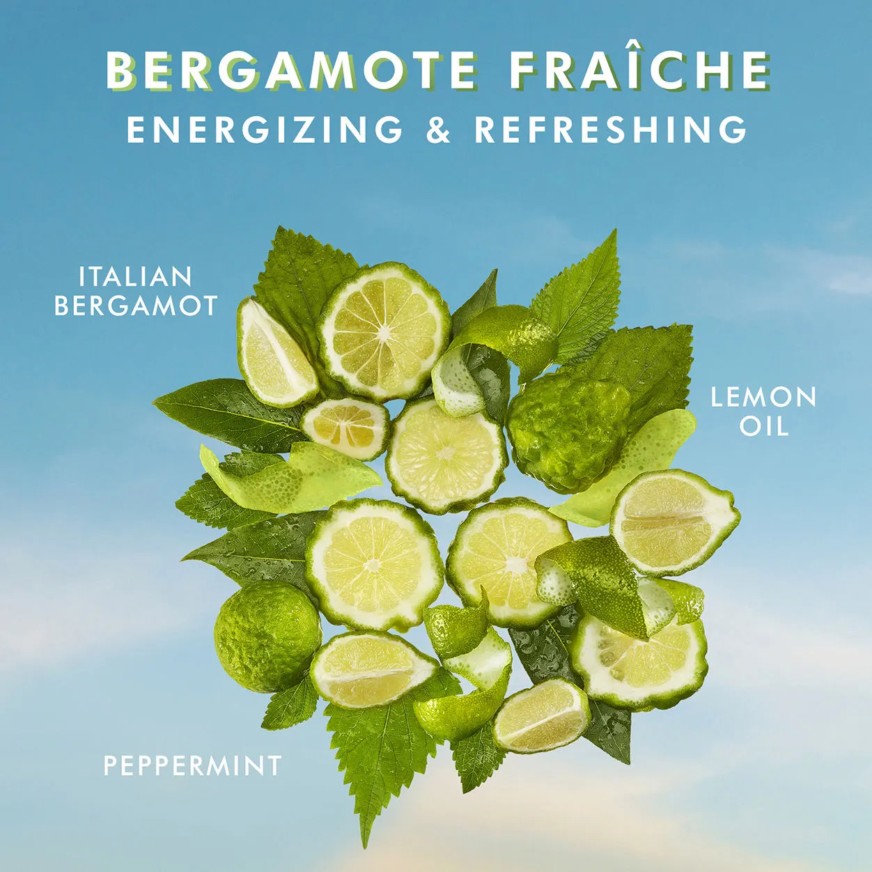 Hand Cream Bergamot Frache