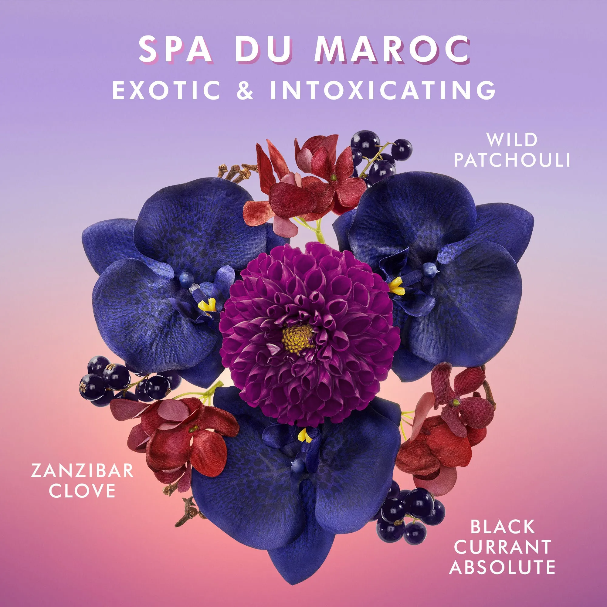 Hand Cream Spa du Maroc