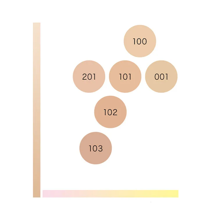 IPSA Liquid Foundation e