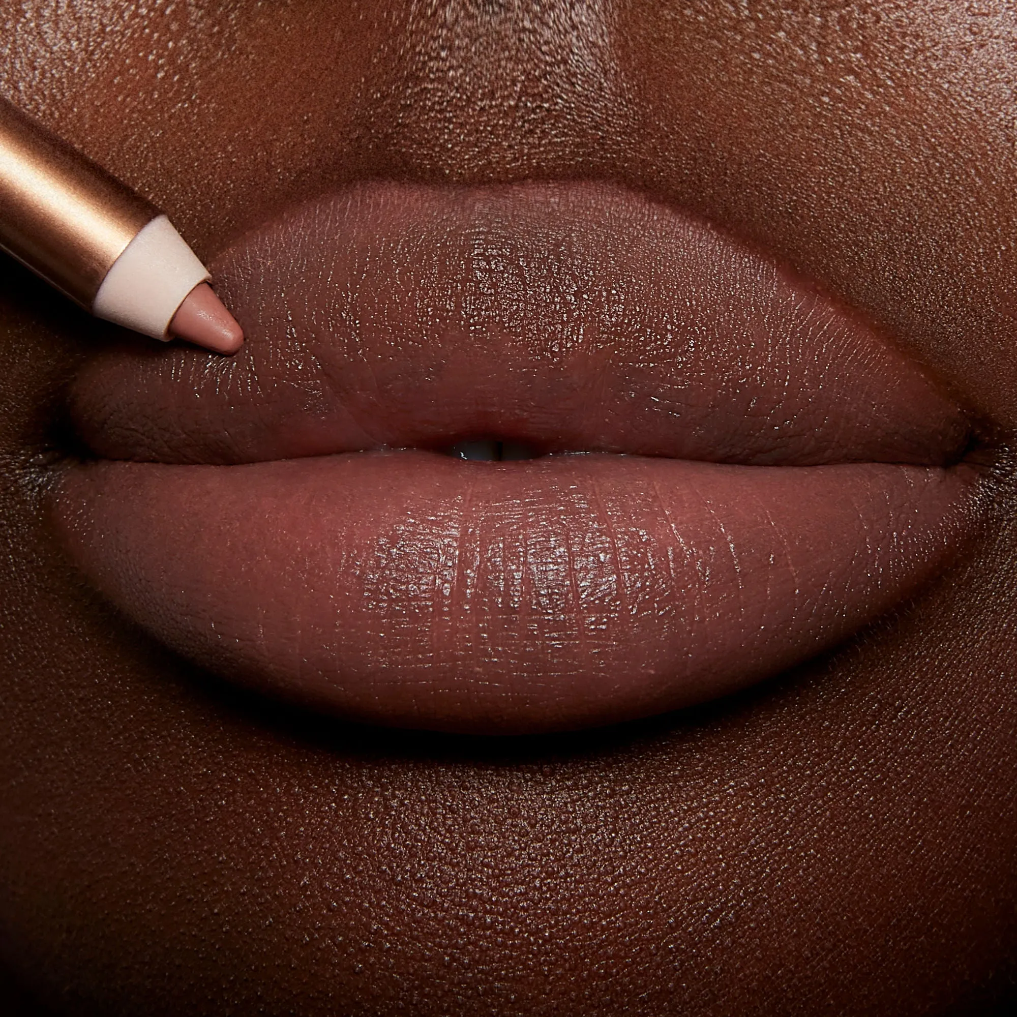 Lip Cheat