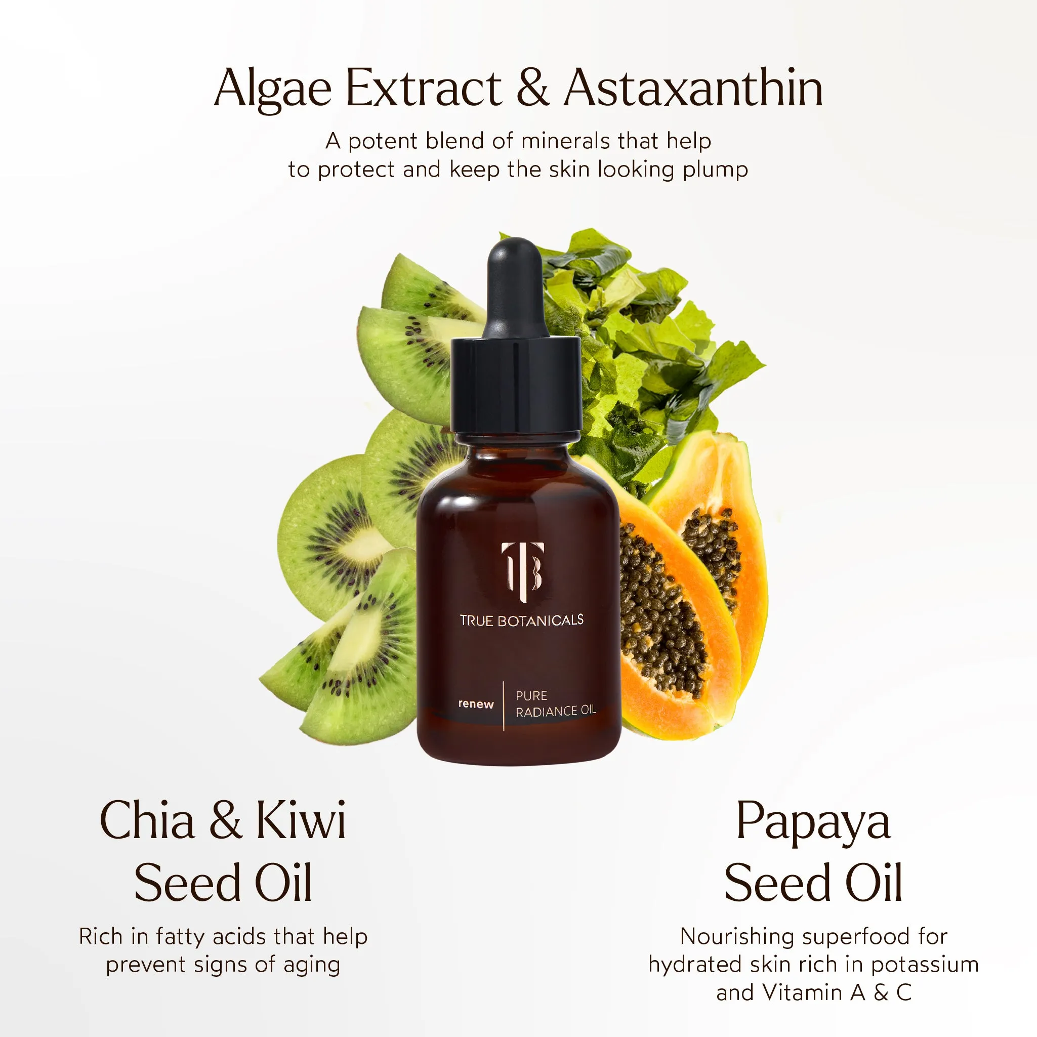 RENEW Pure Radiance Hydrating Oil