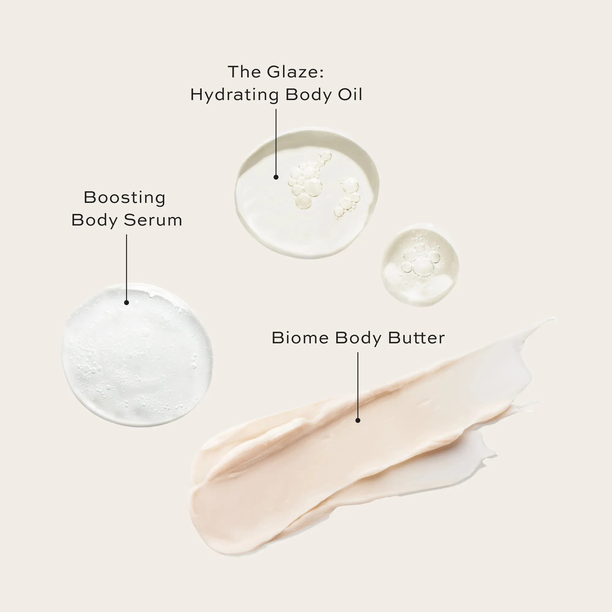 The Body Discovery Set