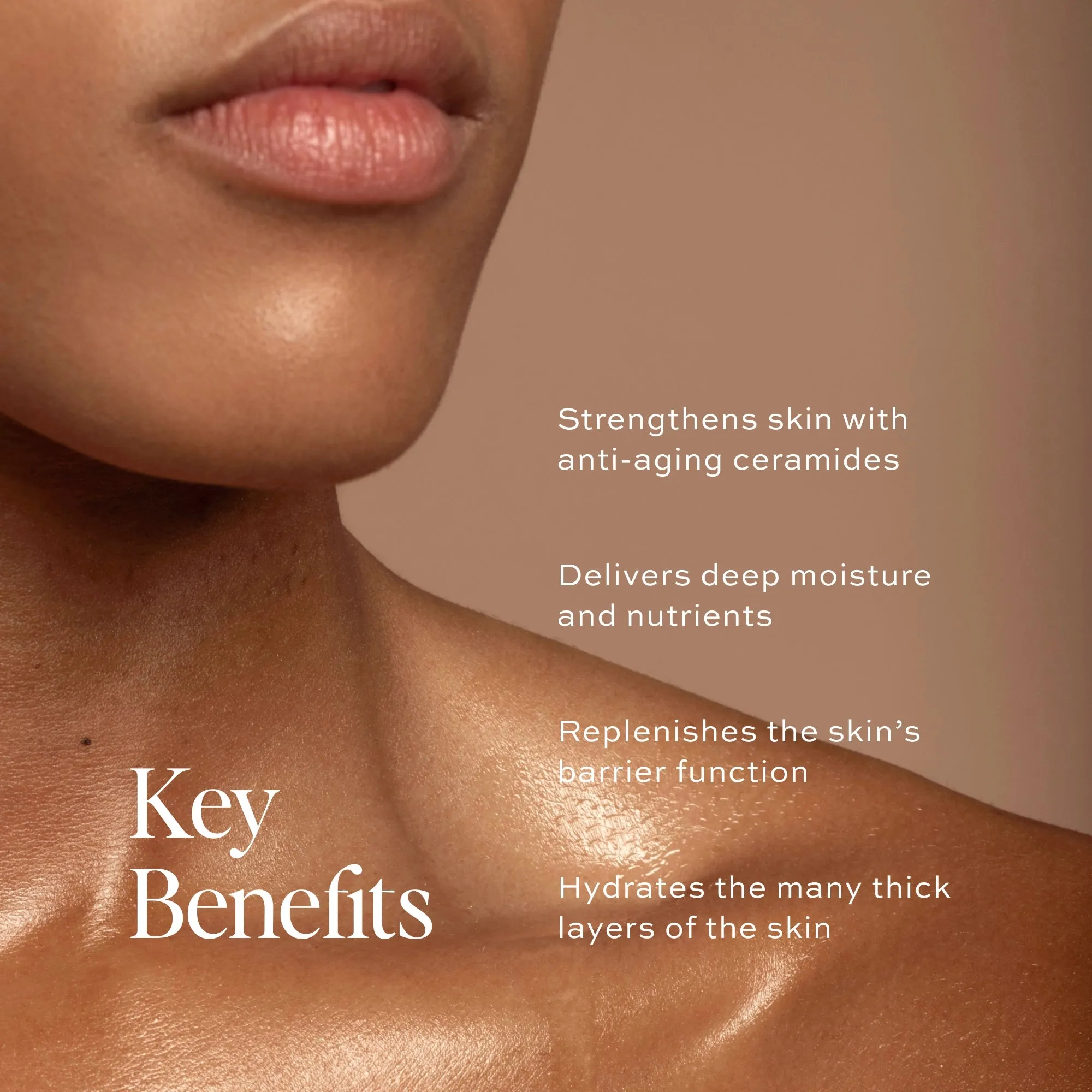 The Body Discovery Set